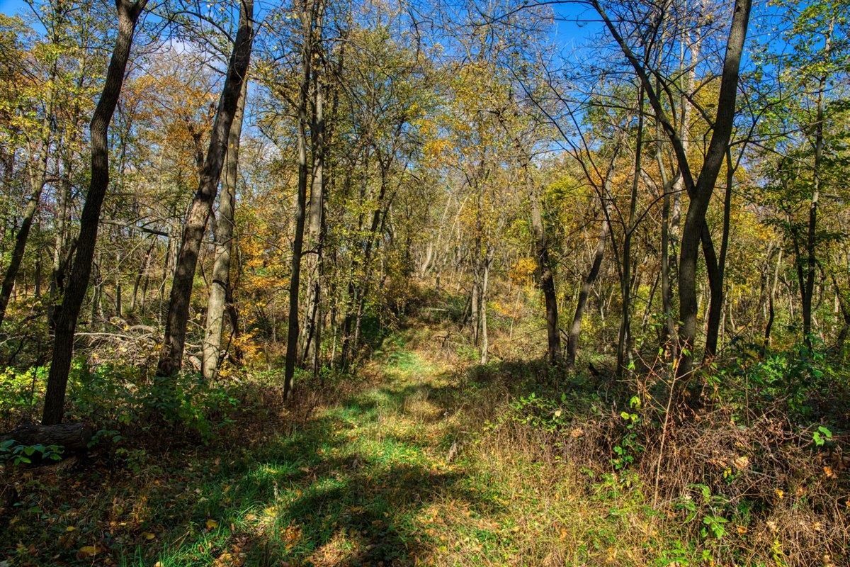 7880 East Lamont Road Argyle, WI 53504 - Photo 54 of 66