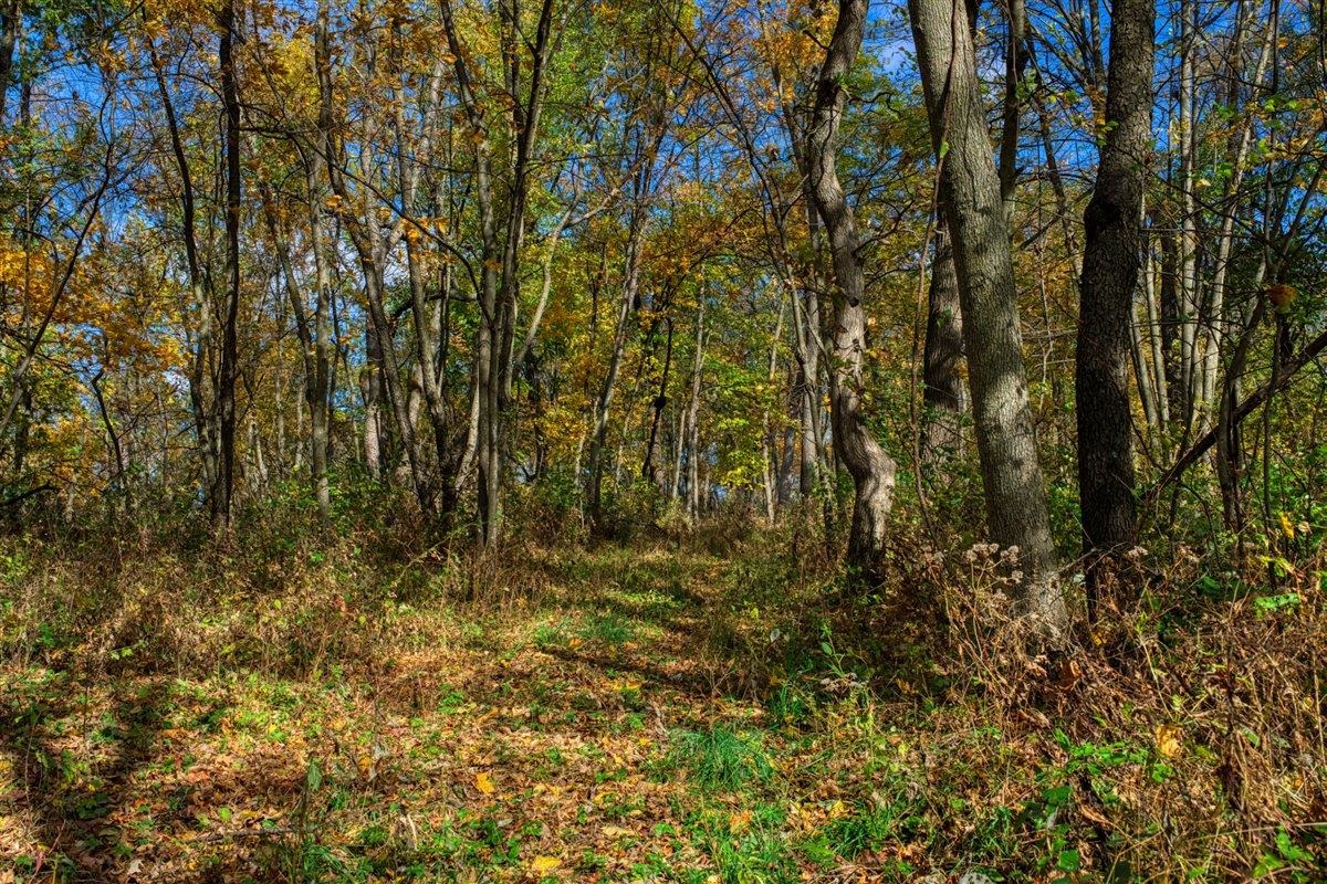 7880 East Lamont Road Argyle, WI 53504 - Photo 56 of 66