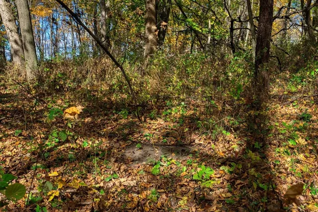 $289,000 | 7880 East Lamont Road, Argyle, WI 53504