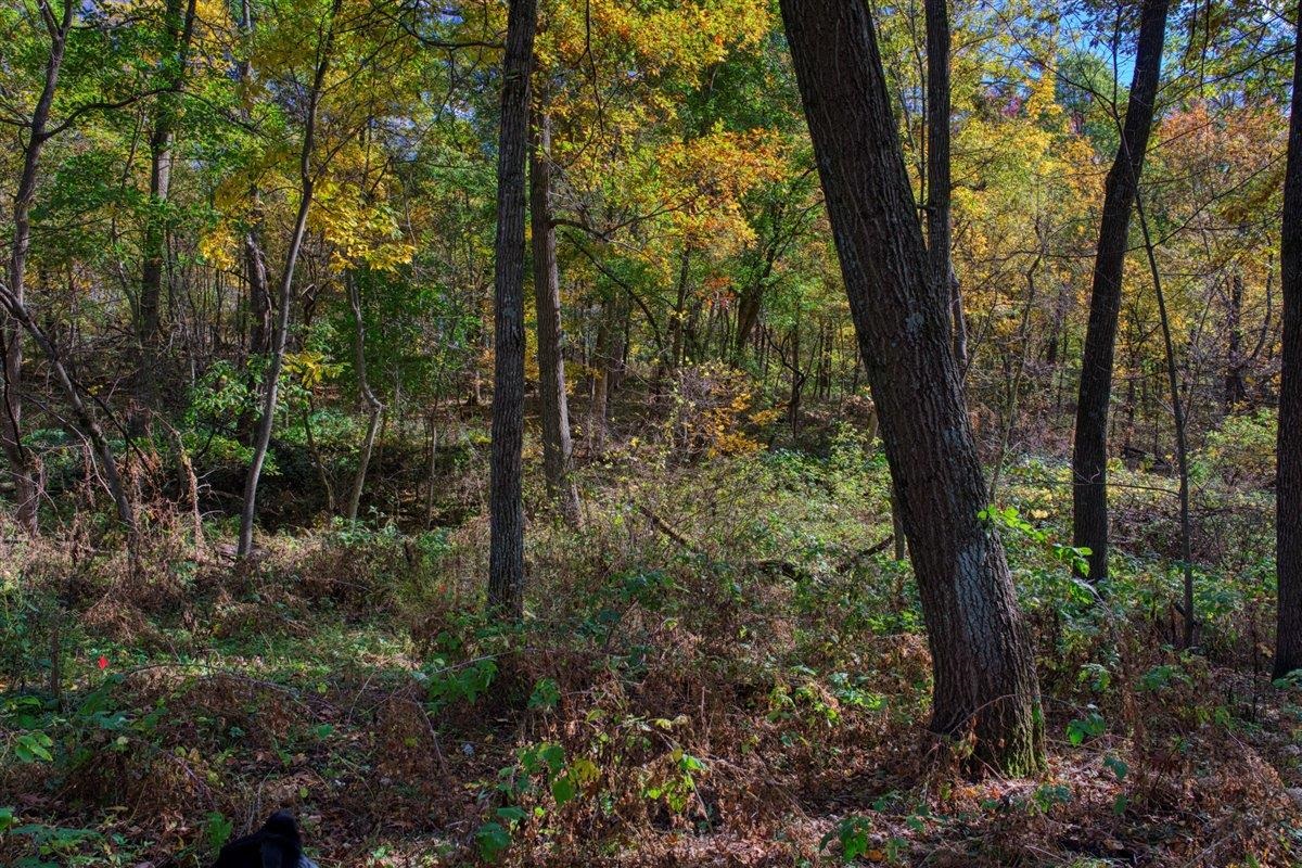 7880 East Lamont Road Argyle, WI 53504 - Photo 59 of 66