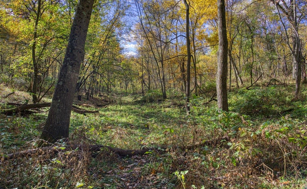 7880 East Lamont Road Argyle, WI 53504 - Photo 60 of 66