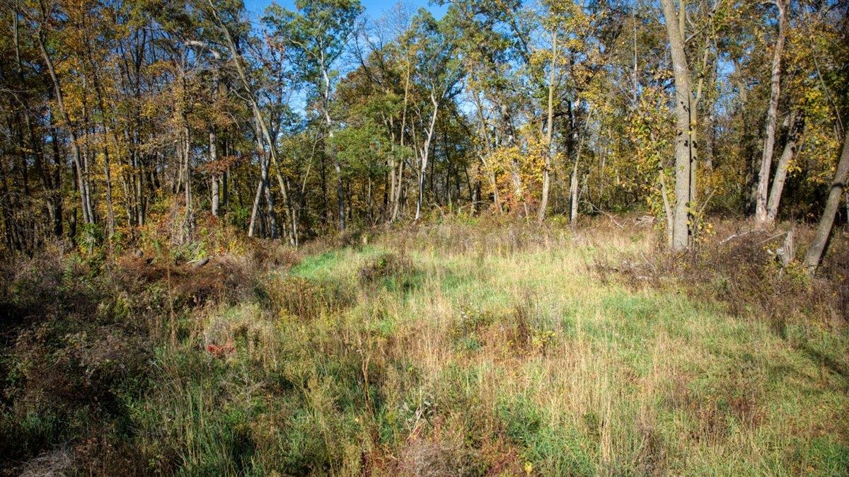 7880 East Lamont Road Argyle, WI 53504 - Photo 6 of 66