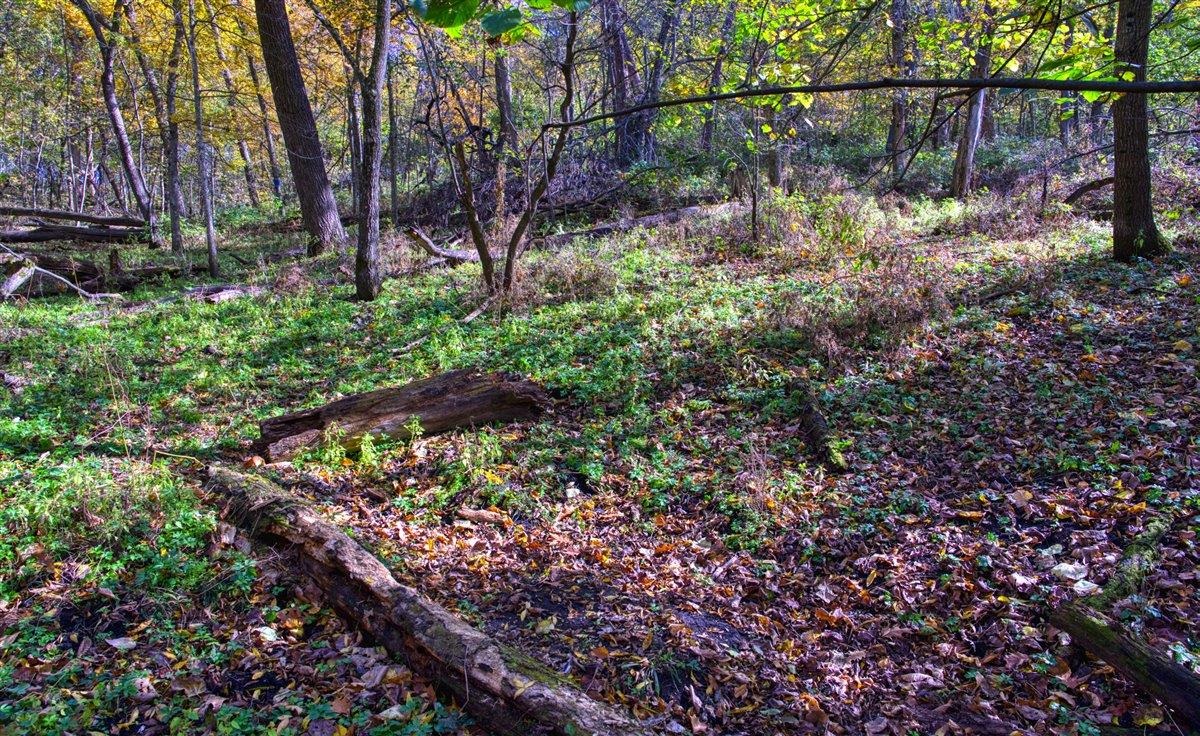 7880 East Lamont Road Argyle, WI 53504 - Photo 61 of 66