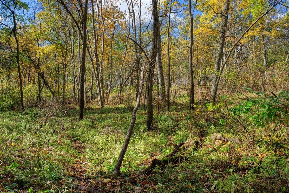 7880 East Lamont Road Argyle, WI 53504 - Photo 62 of 66