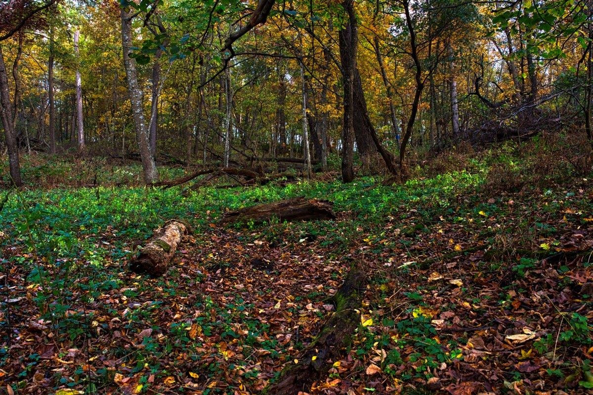 7880 East Lamont Road Argyle, WI 53504 - Photo 63 of 66