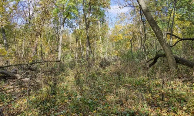 $289,000 | 7880 East Lamont Road, Argyle, WI 53504