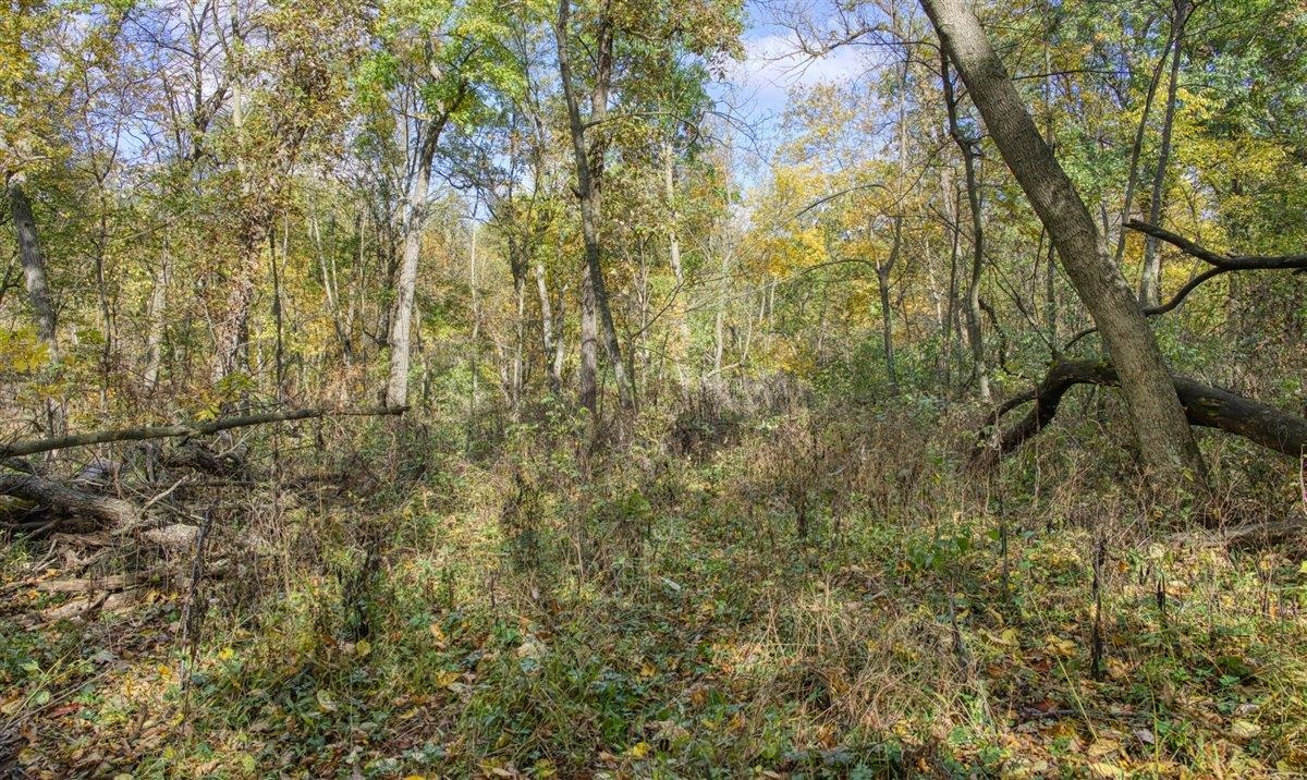 7880 East Lamont Road Argyle, WI 53504 - Photo 64 of 66