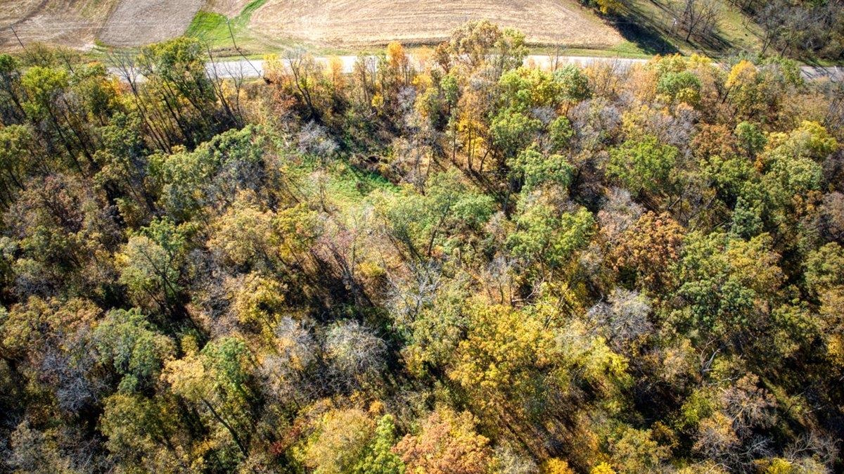 7880 East Lamont Road Argyle, WI 53504 - Photo 7 of 66