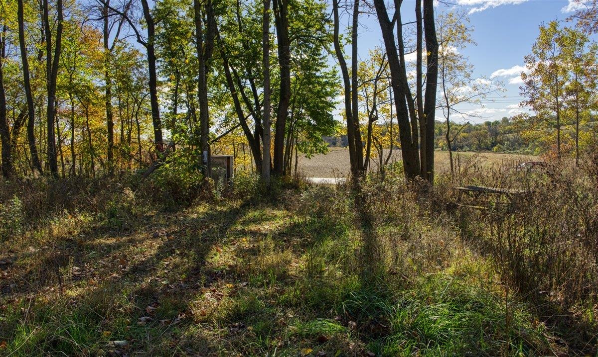7880 East Lamont Road Argyle, WI 53504 - Photo 9 of 66