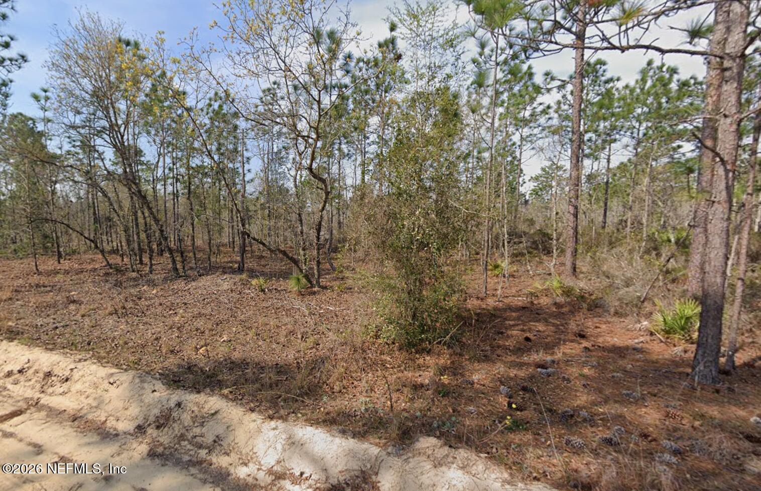 135 Miami Street Interlachen, FL 32148 - Photo 3 of 4 beyc69b2d78e3e6ee