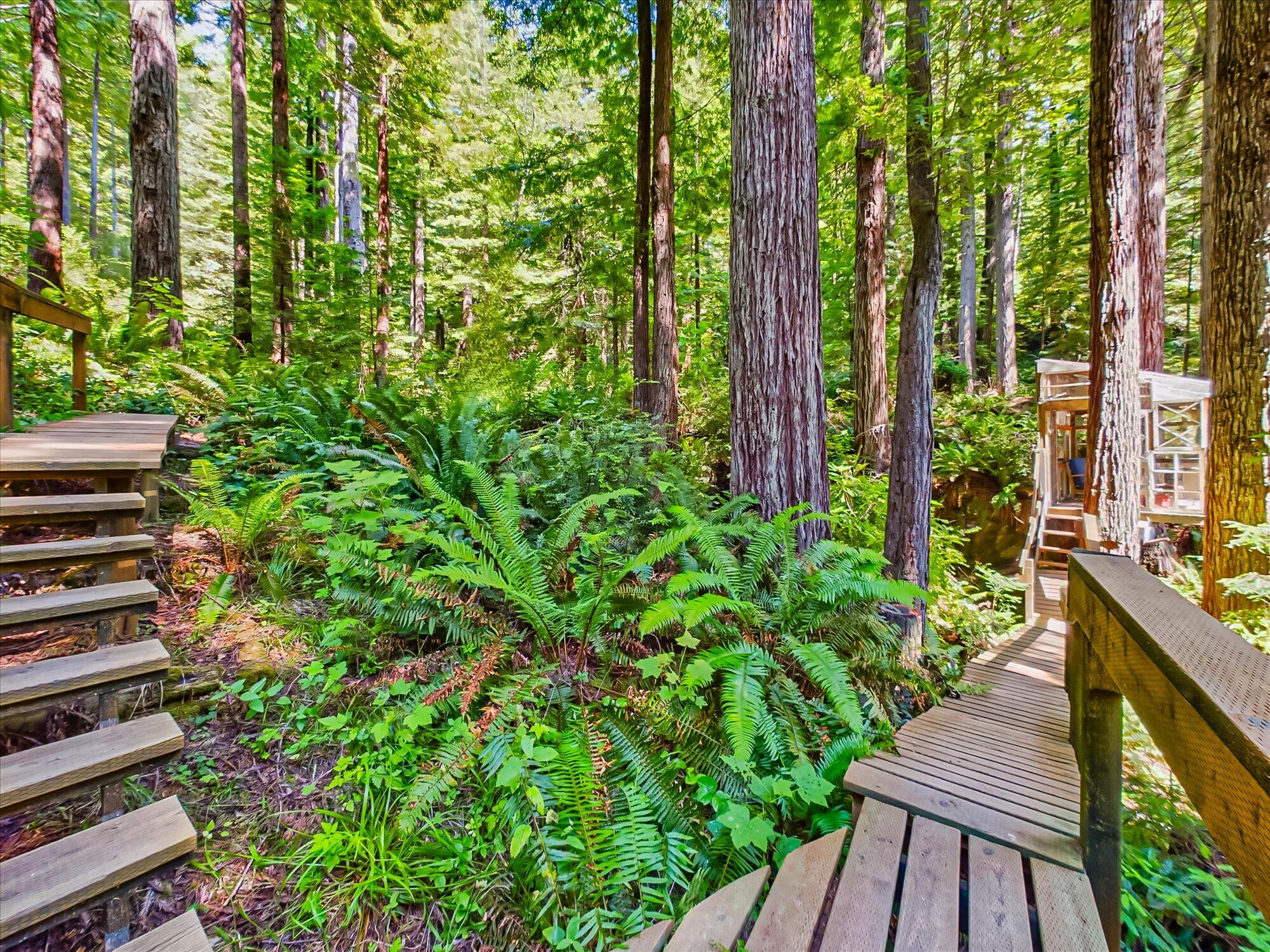 451 Tip Top Ridge Road McKinleyville, CA 95519 - Photo 105 of 129