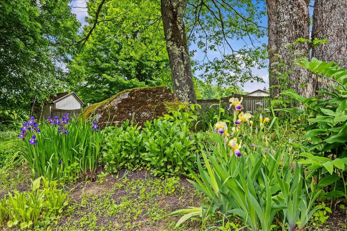 539 Spruce Haven Road Waterbury, VT 05677 - Photo 8 of 53
