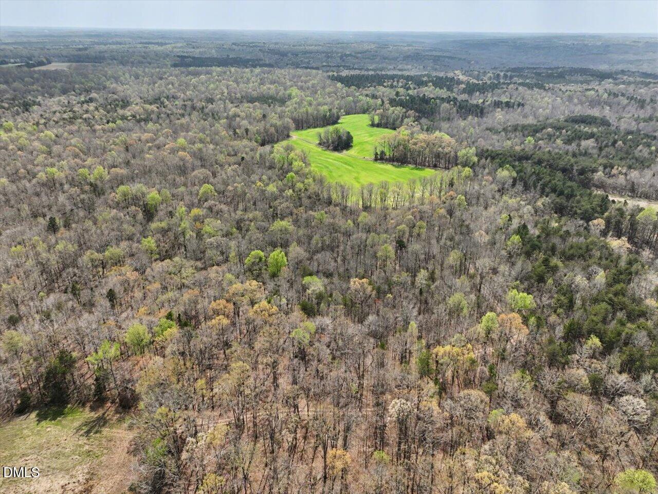 7793 Ridgeville Road Leasburg, NC 27291 - Photo 33 of 91