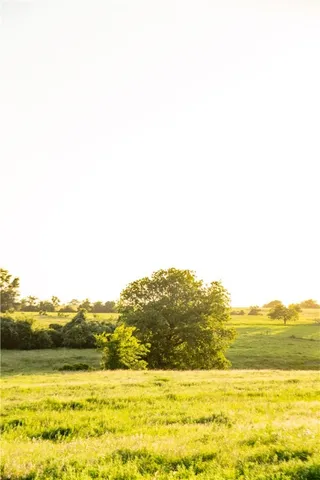 a view of backyard with barbeque grill and potted plants