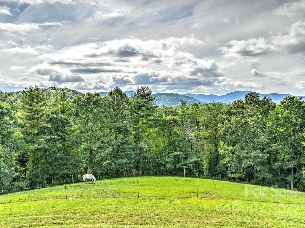 181 Blowhole Road Marshall, NC 28753 - Photo 33 of 45 Gallery Image 33
