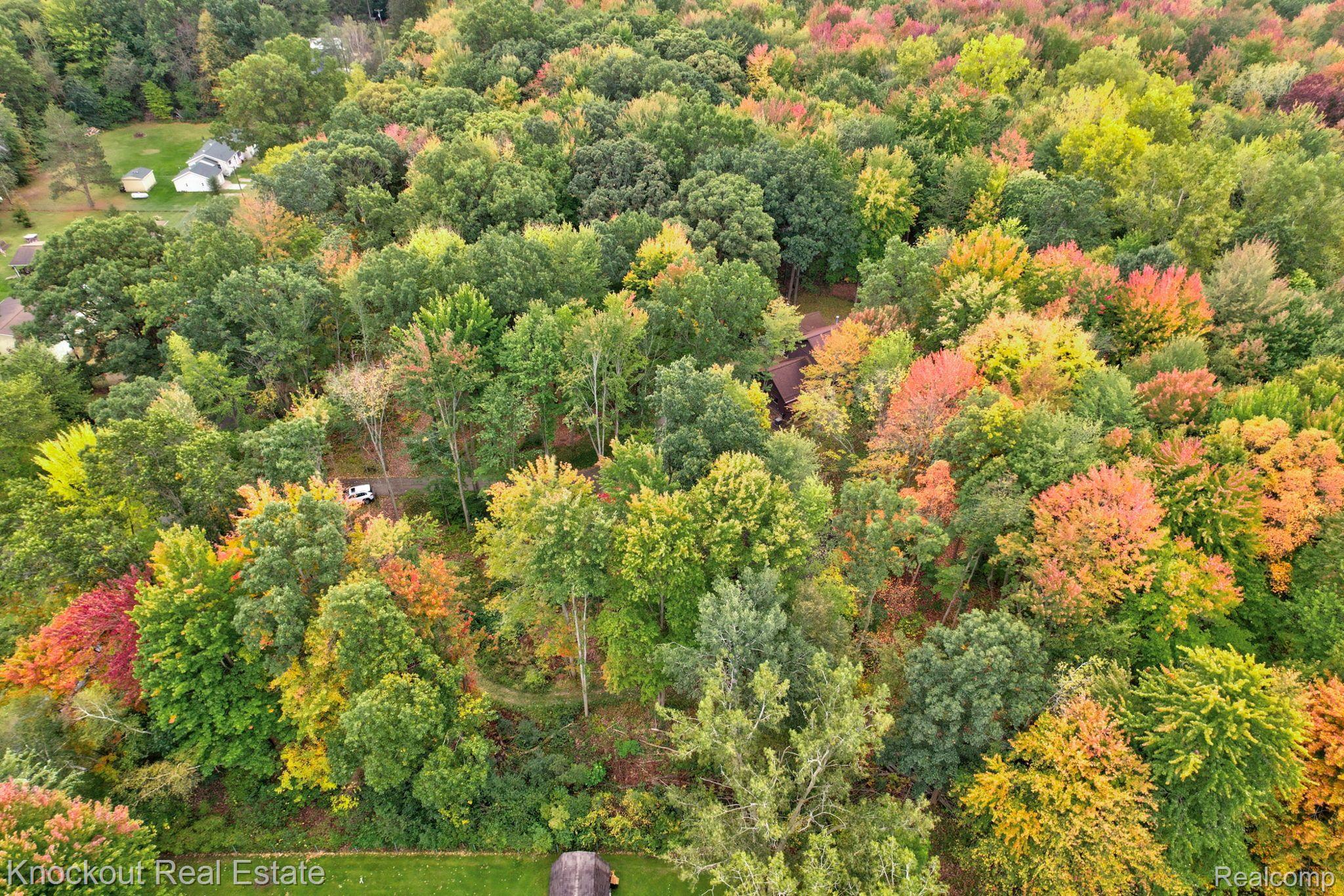 7788 Rookway Road Bridgeport, MI 48722 - Photo 65 of 69 Gallery Image 65