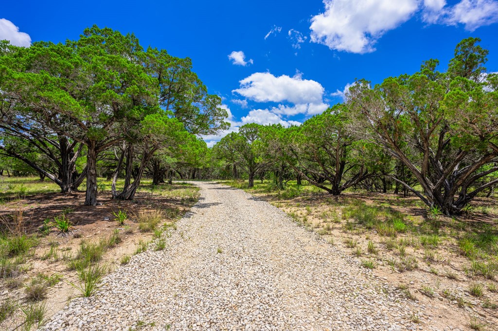 4568 Fm 2828 Bandera, TX 78003 - Photo 9 of 17