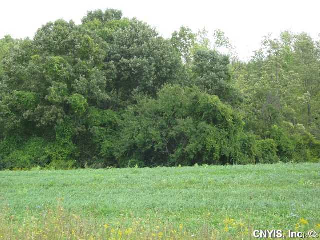 Lot #4 Bussey Road Phoenix, NY 13135 - Photo 2 of 4