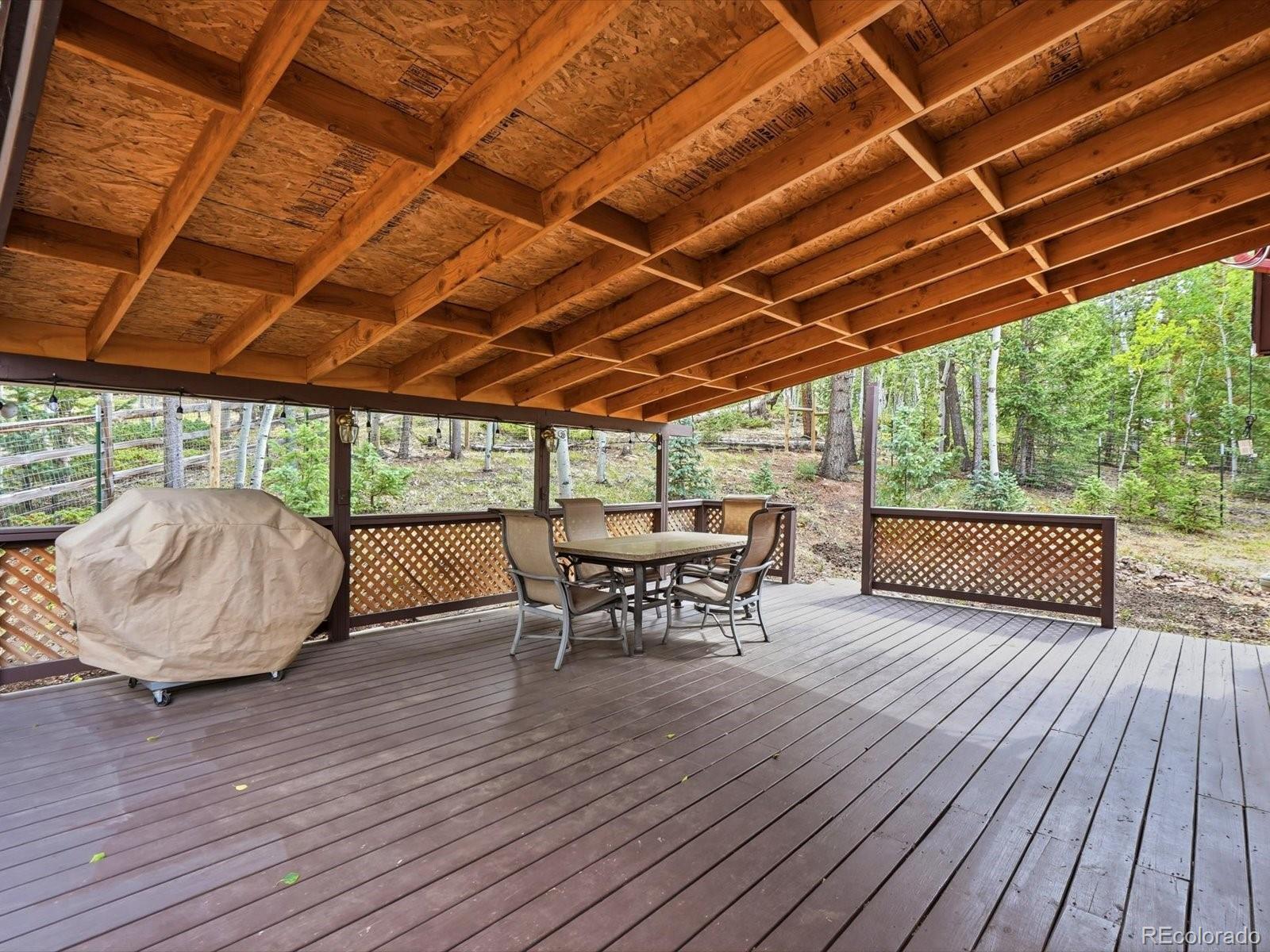 10 Juniper Way Bailey, CO 80421 - Photo 32 of 41