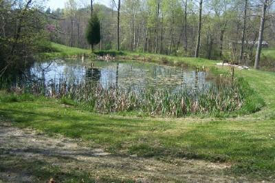 351 Kelly Road Corbin, KY 40701 - Photo 3 of 9 Photo 3