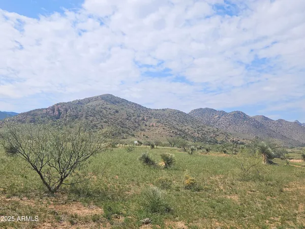 a view of a dry yard with mountains in the background