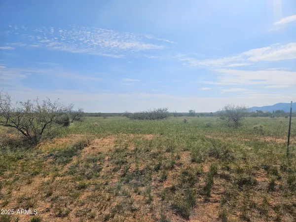 a view of a field with an ocean