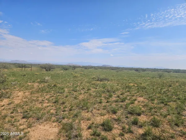 a view of a field with an ocean