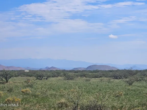 a view of a lush green field with mountains in the background