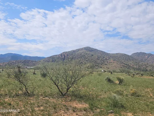 a view of a dry yard with mountains in the background