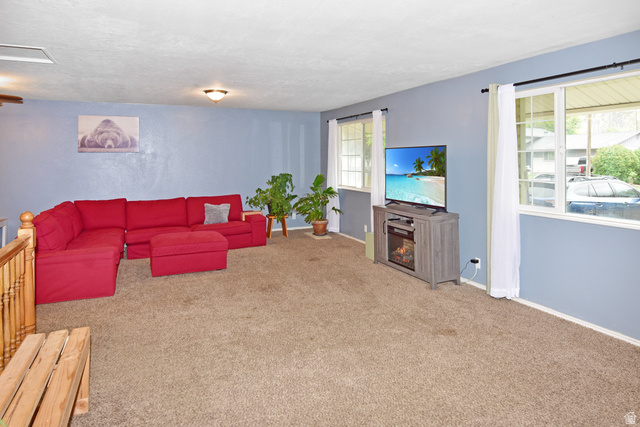 315 Park Street Inkom, ID 83245 - Photo 3 of 28 Spacious living area featuring neutral carpet flooring and light blue walls