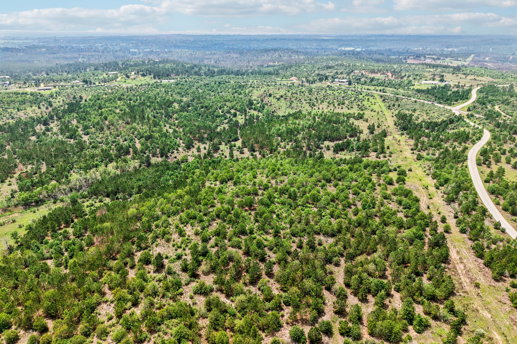 1 Cottle Town Road Smithville, TX 78957 - Photo 4 of 4 Expansive undeveloped land featuring mature trees and established roads