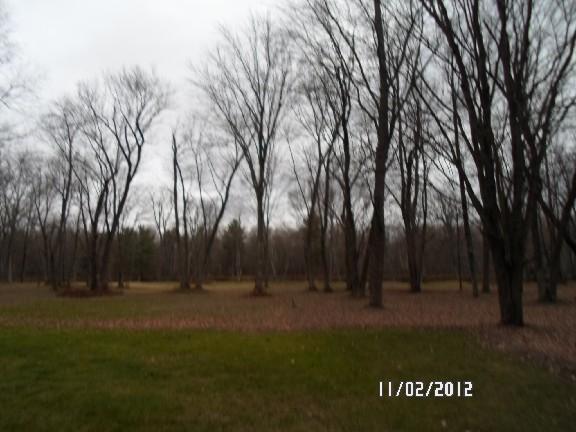 17355 Old Logging Road Hersey, MI 49639 - Photo 2 of 13 Additional Photo