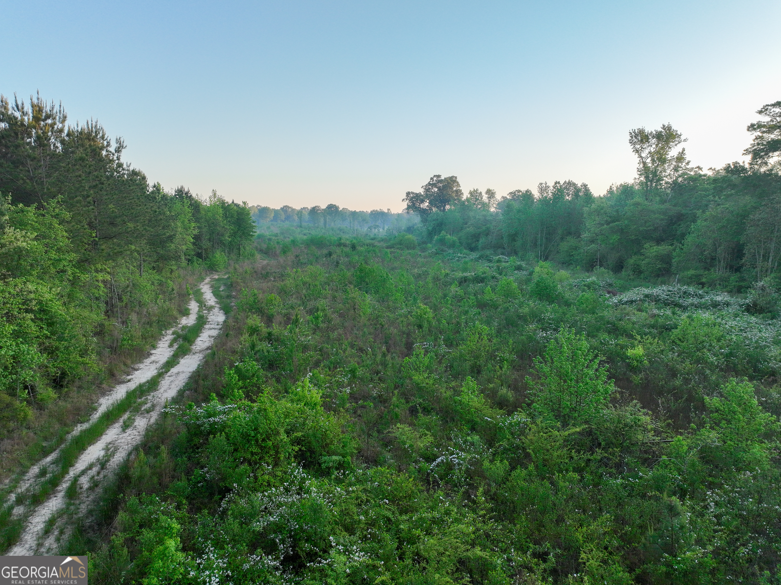 0 Zebulon Road Milner, GA 30257 - Photo 14 of 26 a view of a city with lush green forest