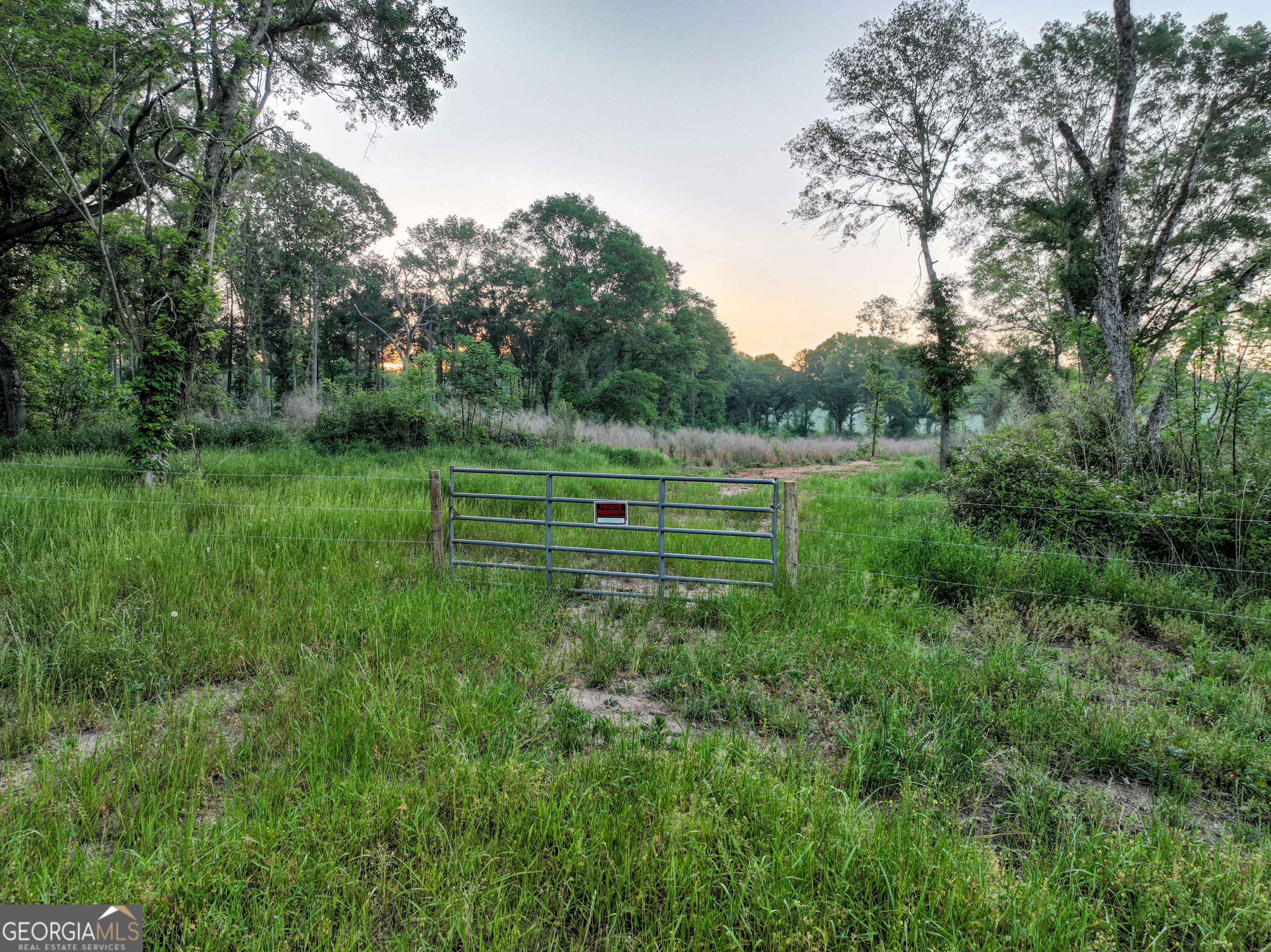 0 Zebulon Road Milner, GA 30257 - Photo 20 of 26 a big yard with lots of green space and trees
