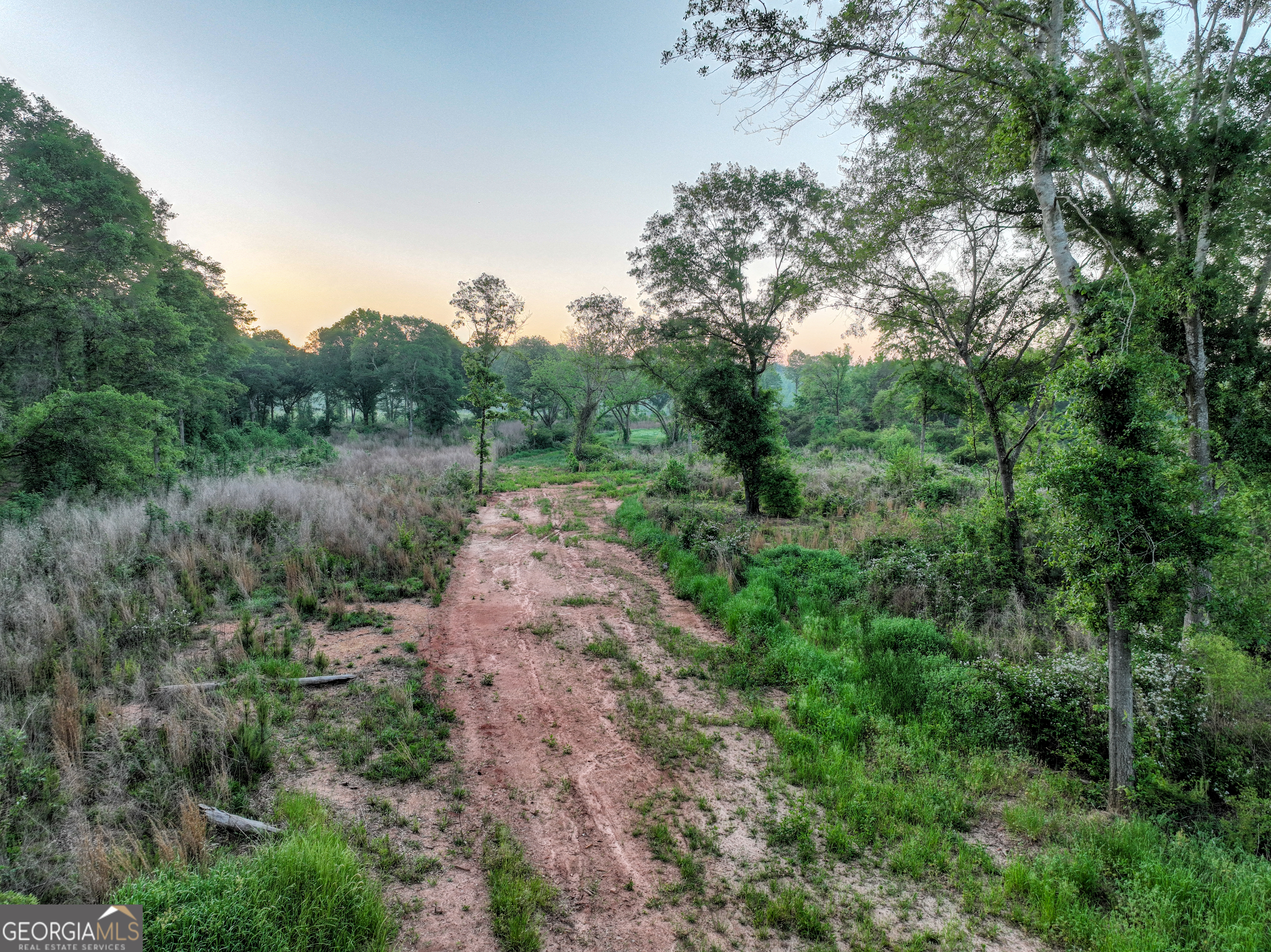 0 Zebulon Road Milner, GA 30257 - Photo 21 of 26 a view of a dirt road with trees in the background