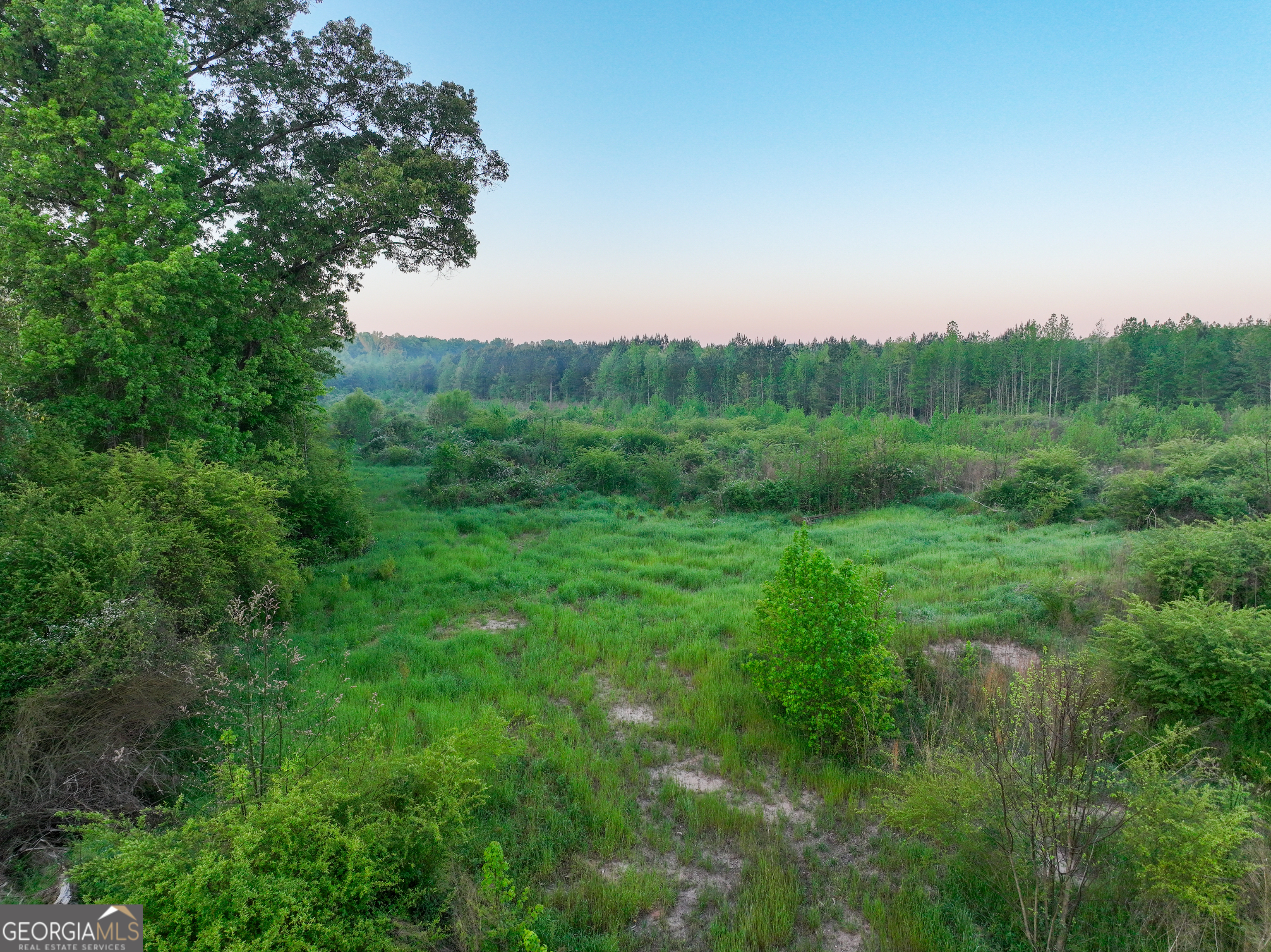 0 Zebulon Road Milner, GA 30257 - Photo 4 of 26 a view of a lush green space with sea