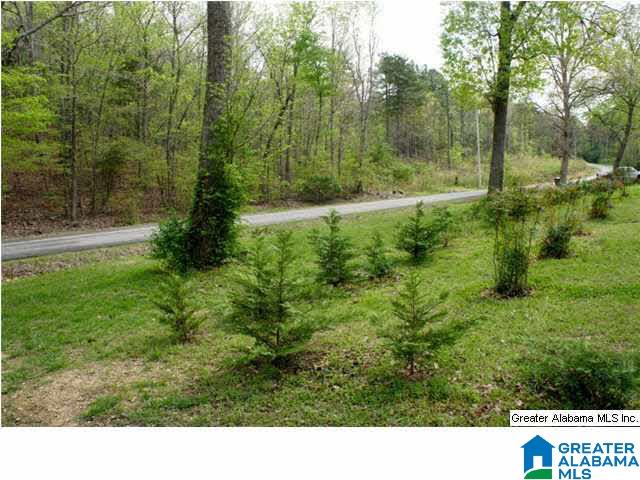 1228 Kimberly Road Piedmont, AL 36272 - Photo 17 of 26