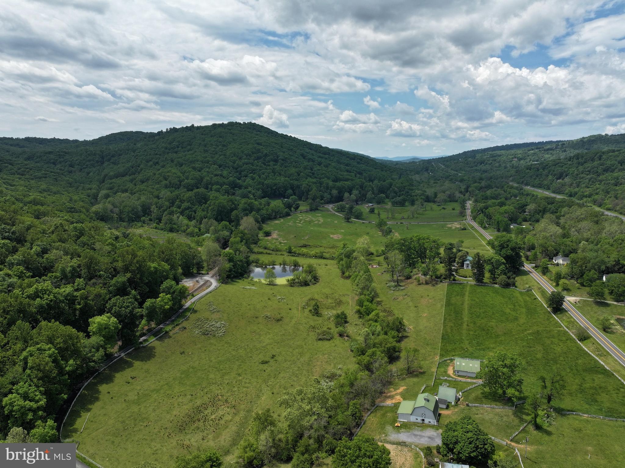 3195 Fiery Run Road Markham, VA 22643 - Photo 112 of 126 a view of a lush green forest with lots of trees