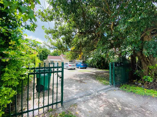 a view of a garden with plants and trees