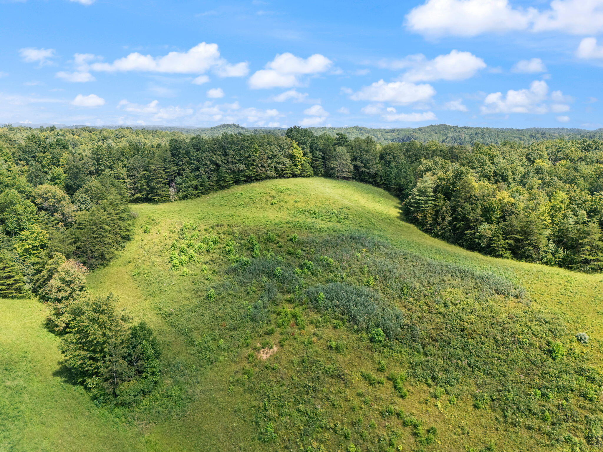 249 Sorrell Road Wellington, KY 40387 - Photo 23 of 30 25-web-or-mls-DJI_20250811152553_0237_D