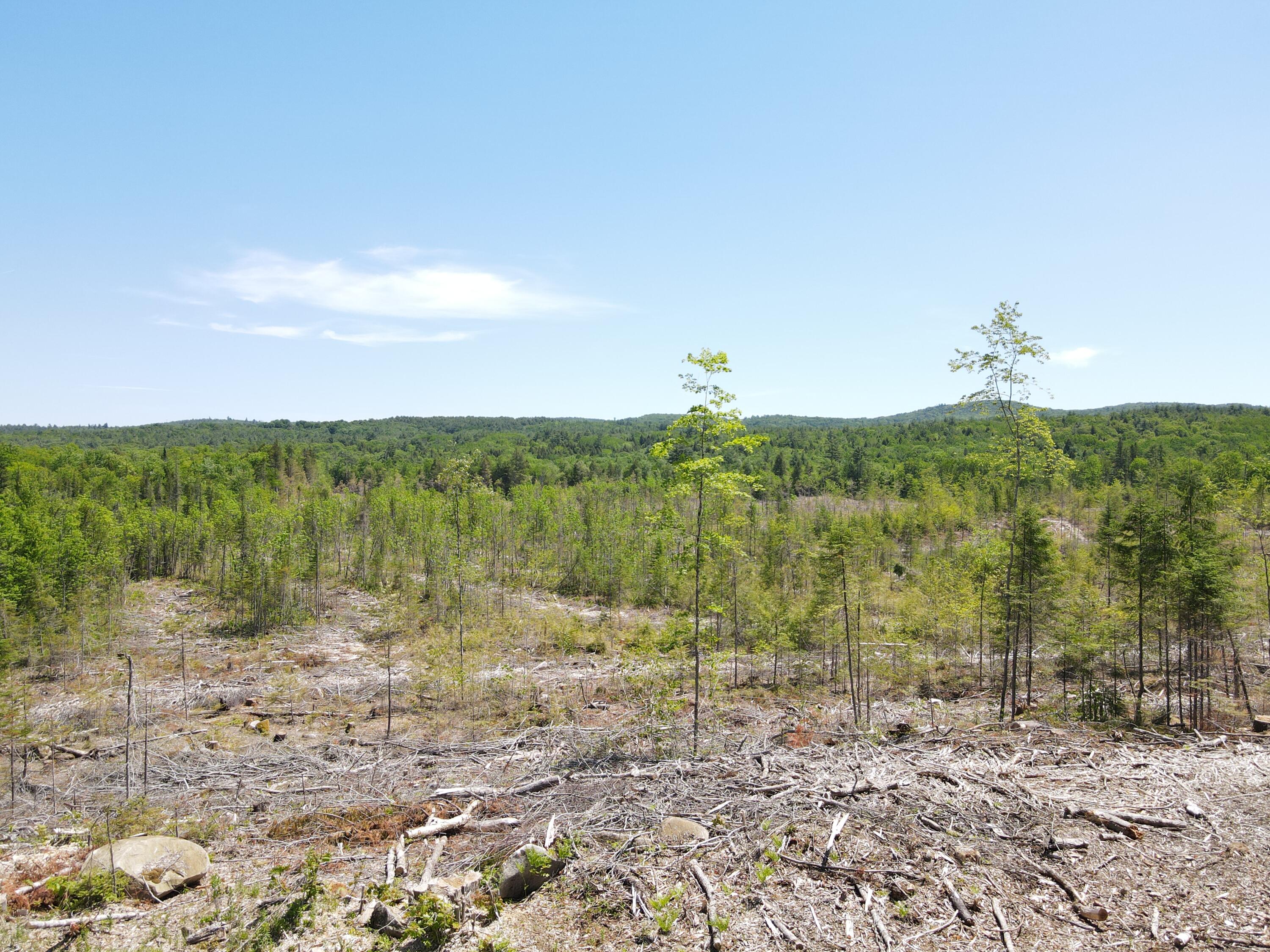 M10-l25 M10-l25 Cahoon Road Chesterville, ME 04938 - Photo 19 of 80 DJI_0737