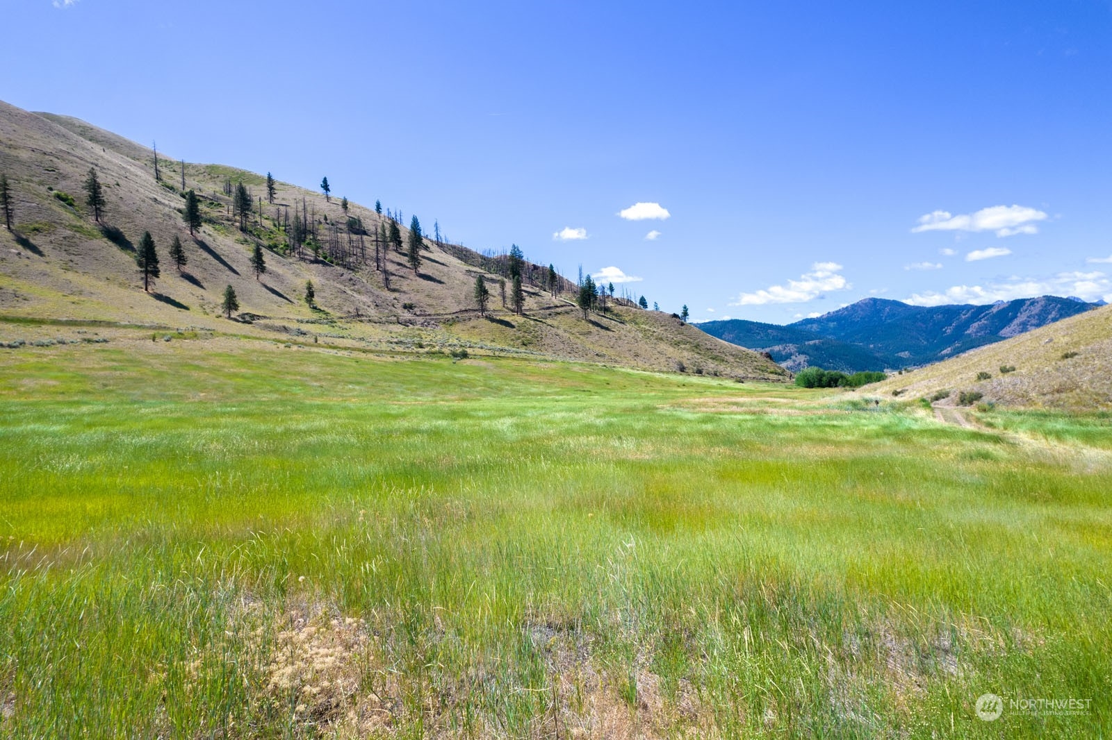 218 Balky Hill Road Twisp, WA 98856 - Photo 2 of 33