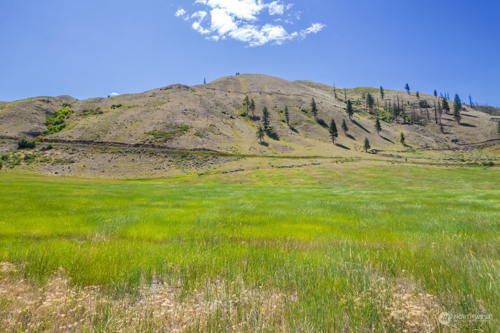 218 Balky Hill Road Twisp, WA 98856 - Photo 21 of 33