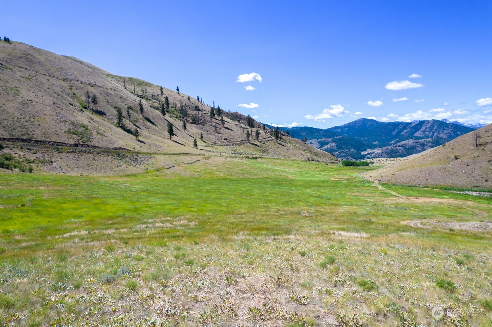 218 Balky Hill Road Twisp, WA 98856 - Photo 23 of 33