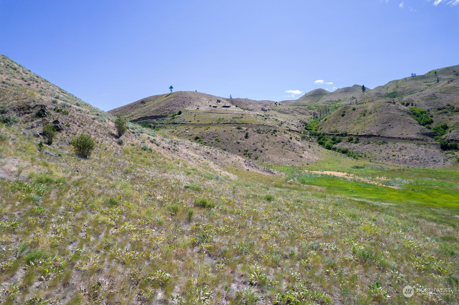 218 Balky Hill Road Twisp, WA 98856 - Photo 30 of 33