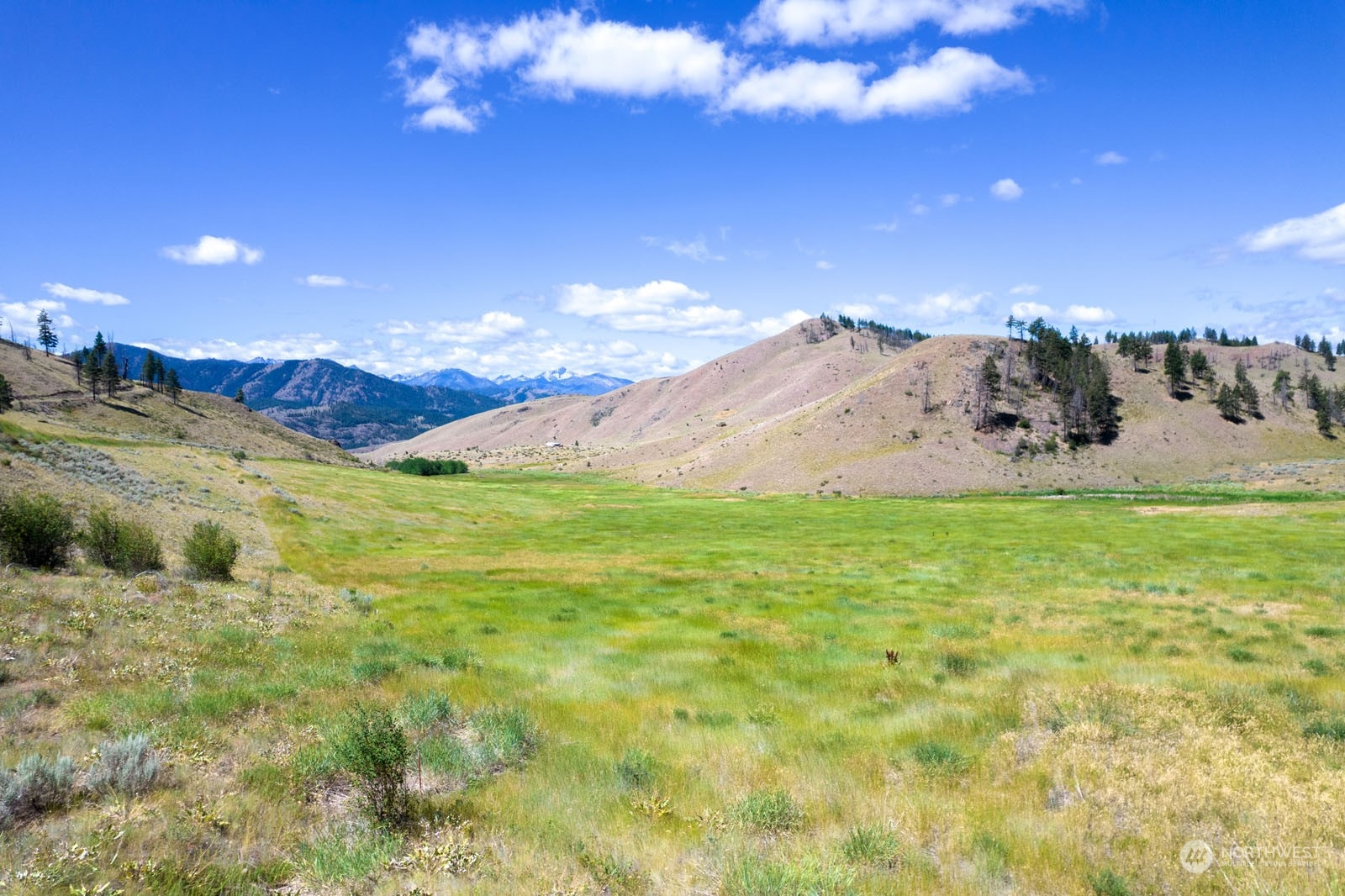 218 Balky Hill Road Twisp, WA 98856 - Photo 5 of 33