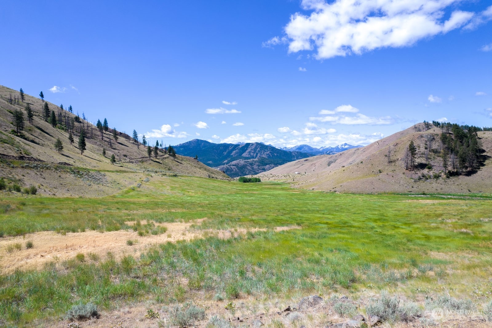 218 Balky Hill Road Twisp, WA 98856 - Photo 6 of 33