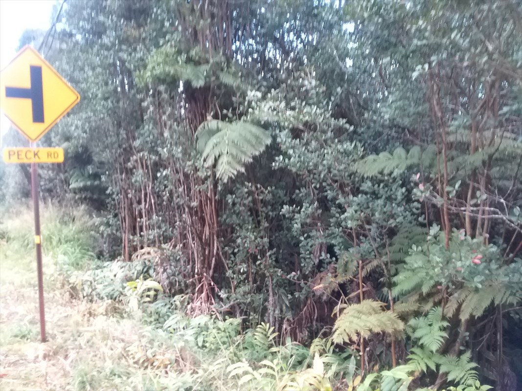 18-1679 South Lot B Volcano Road Mountain View, HI 96771 - Photo 6 of 8 a view of a yard with plants and trees