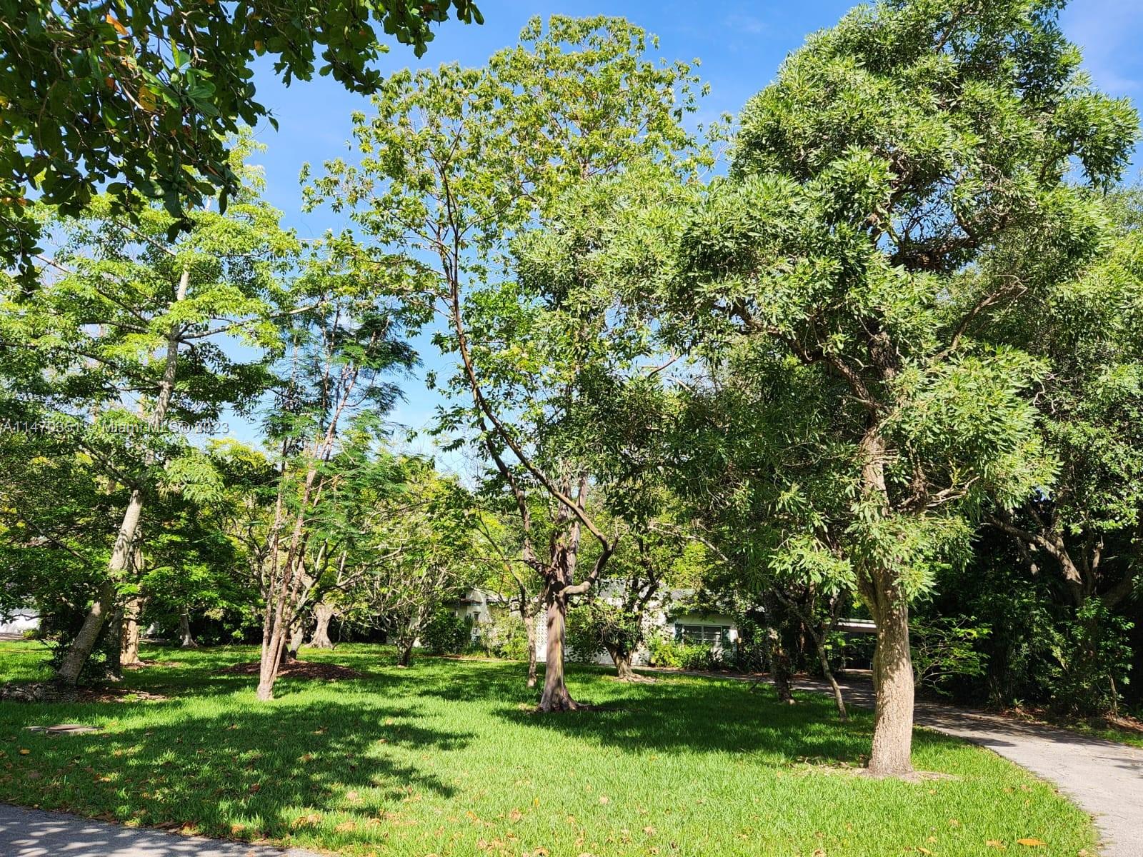 11550 Southwest 80th Road Pinecrest, FL 33156 - Photo 3 of 6 Gallery Image 3