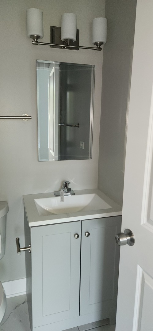 1023 East 45th Street, Unit 2 Chicago, IL 60653 - Photo 3 of 12 a bathroom with a sink and mirror